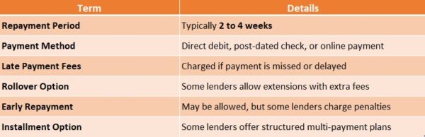 Repayment Terms for Payday Loans