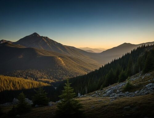 Cash Loan Pros and Cons: A Clear Guide for Homeowners